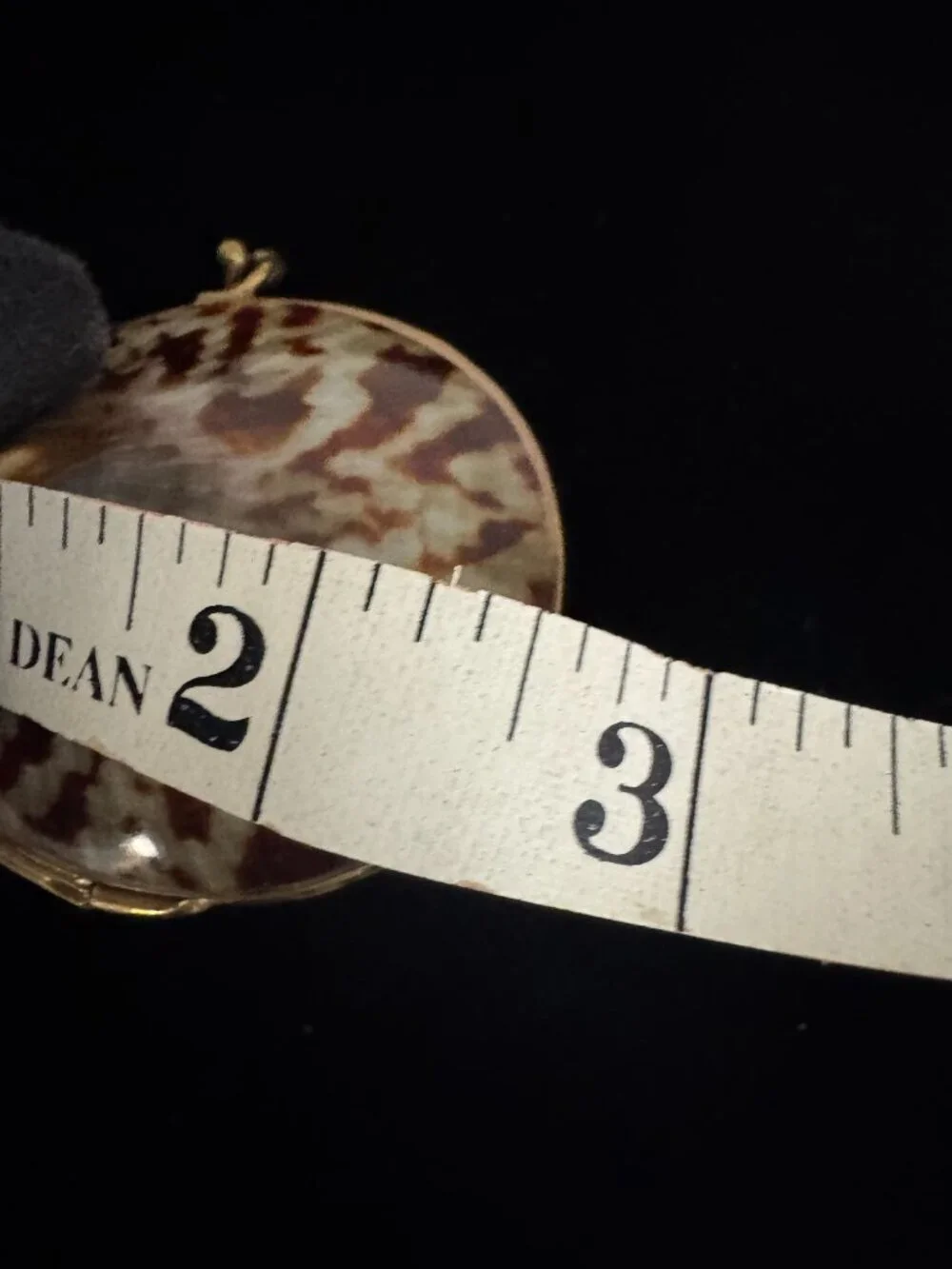 Shell trinket box with brass rim